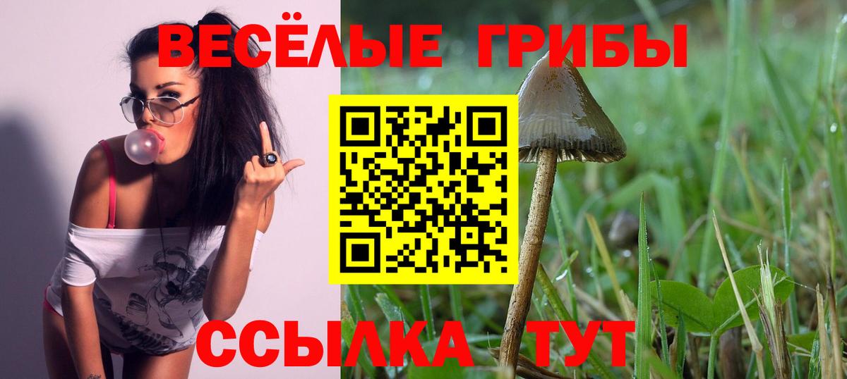 Псилоцибиновые грибы ЛСД Новозыбков